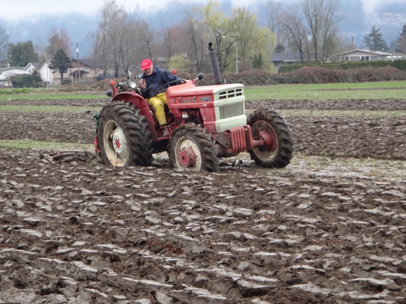 chilliwack plowing match 2017 077